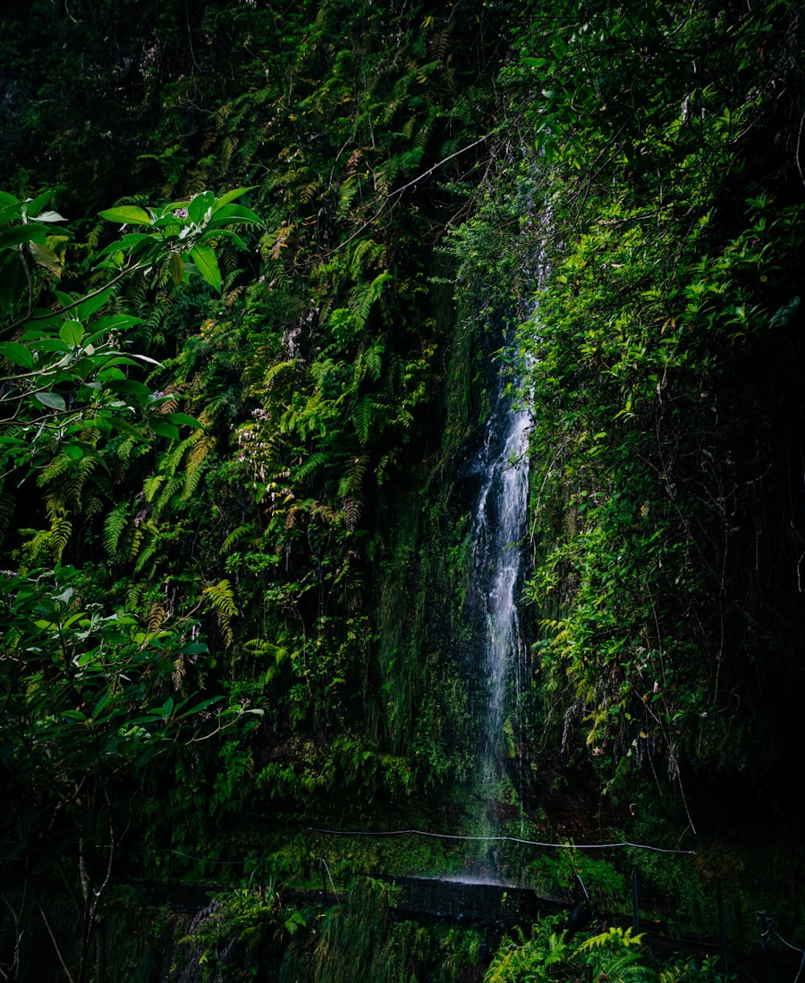 Cascada de Madeira