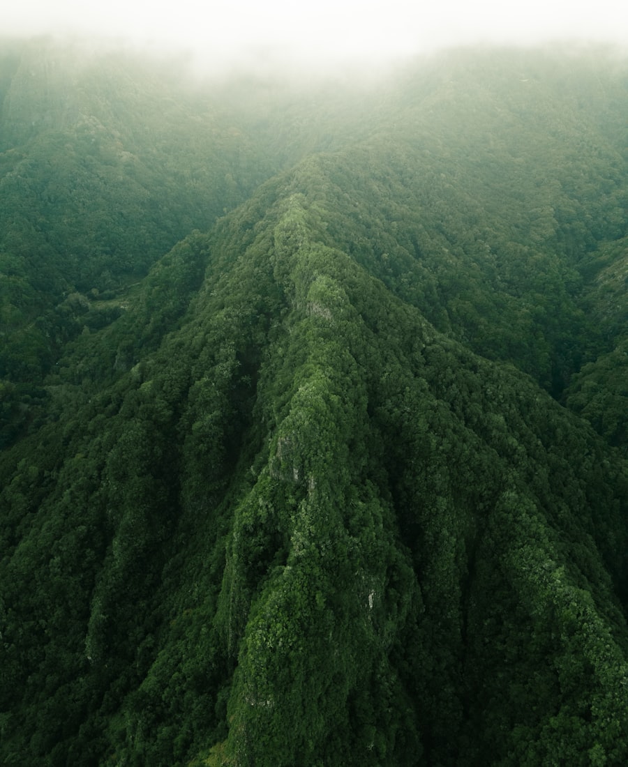Madeira green mountains