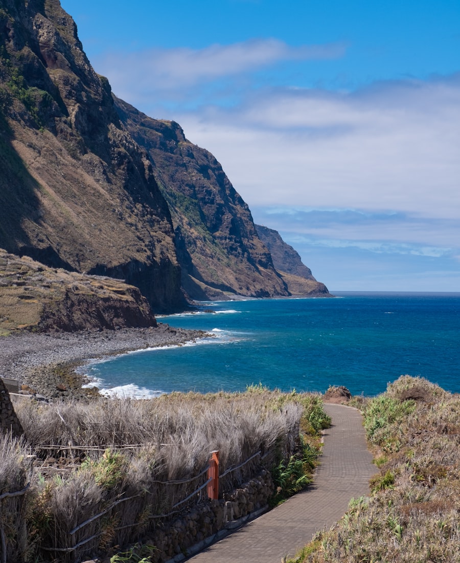 Madeira volcanic coast