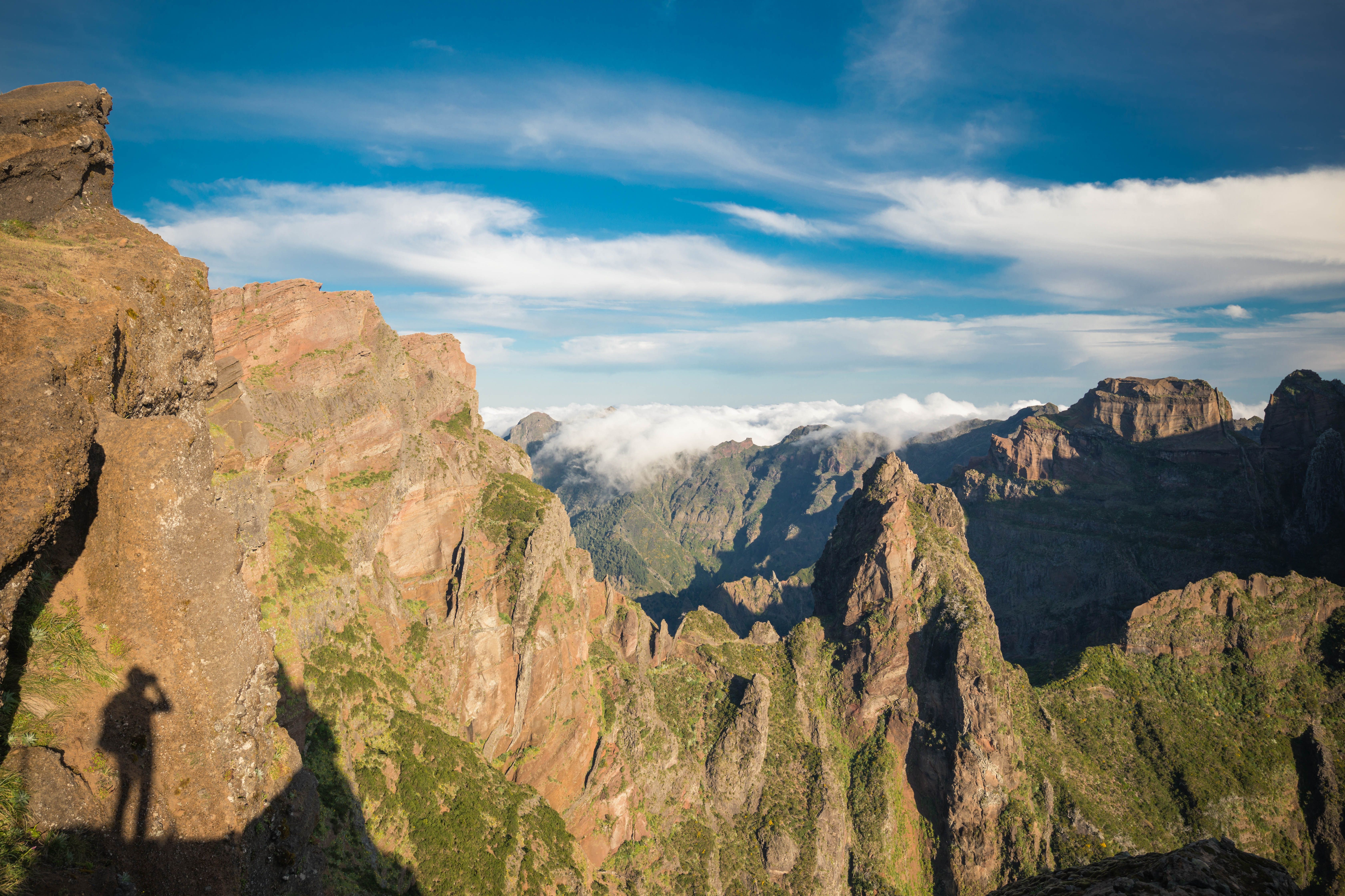Who We Are: Passion and Excellence in Madeira